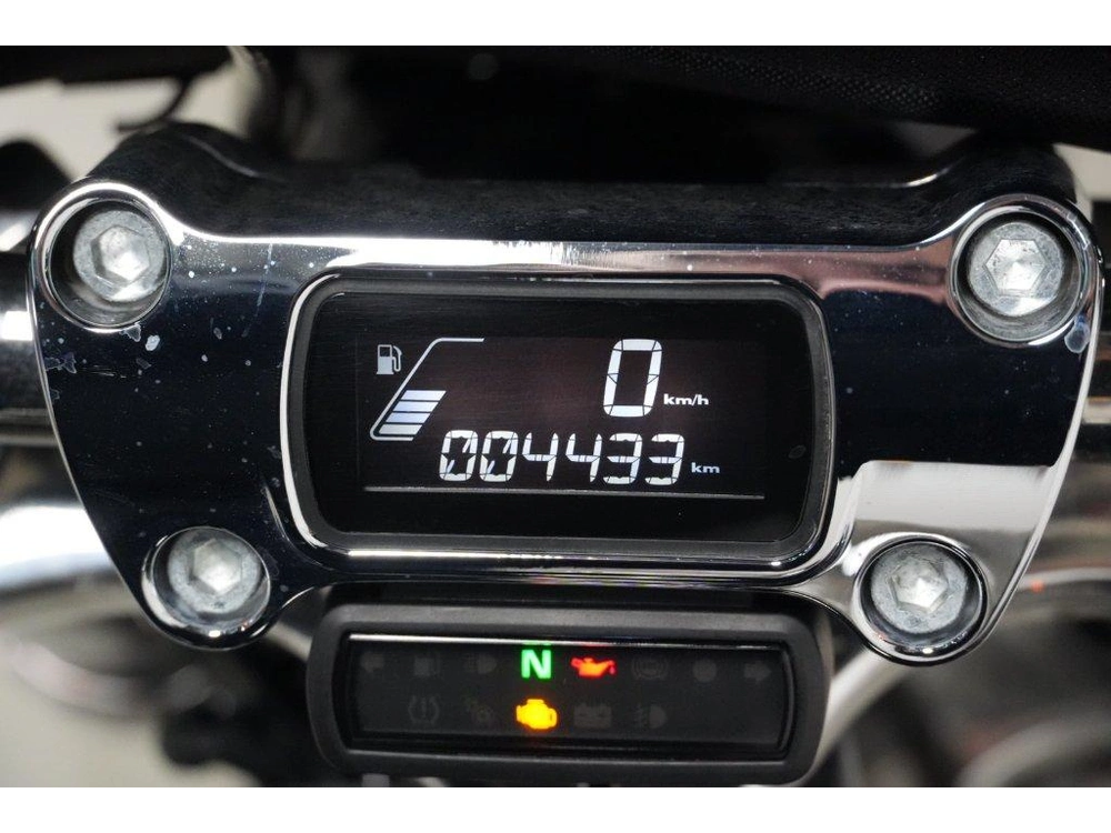 2021 Harley-davidson Softail Standard Fxst alt