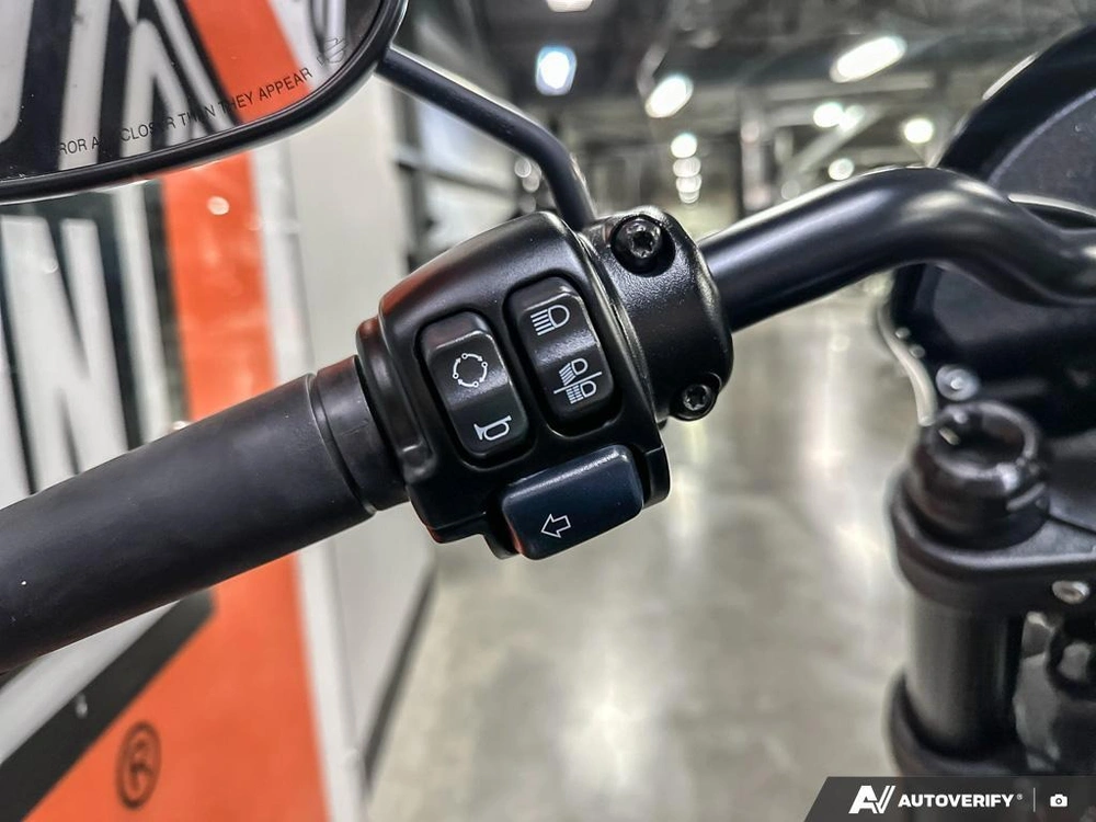 2021 Harley-davidson Fxlrs alt