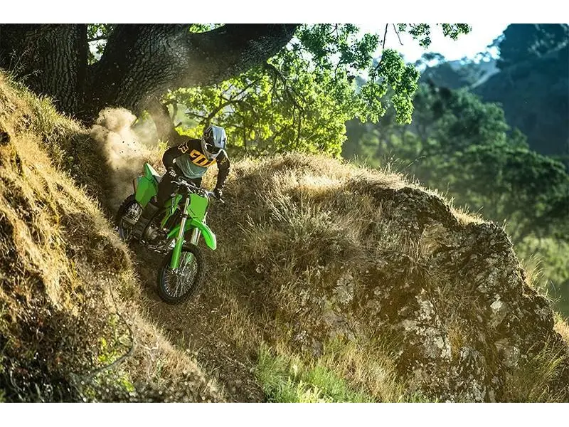 2025 Kawasaki KLX® 300R thumbnail 16