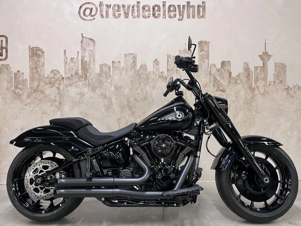 2025 Harley-davidson Flfb Fat Boy alt