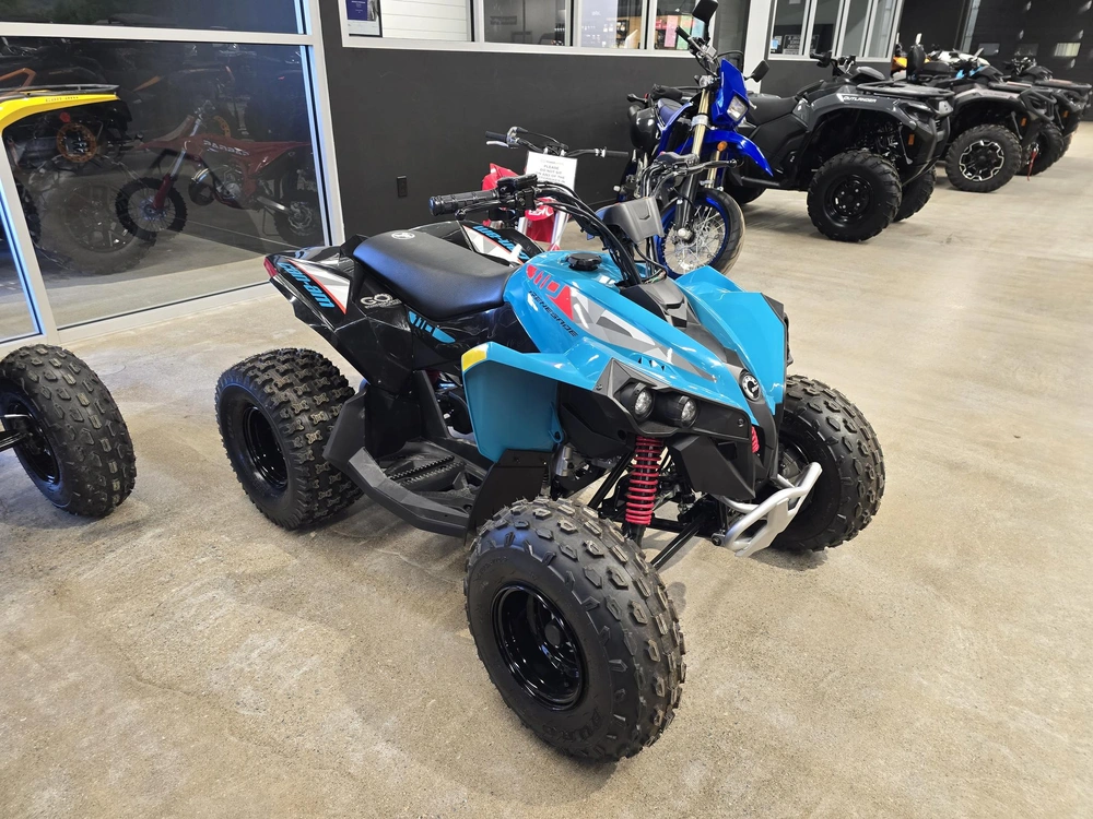 2026 Brp Renegade 110 Efi (can) alt