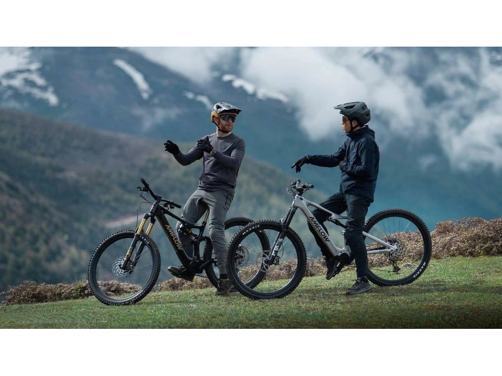 2025 Other Amflow Pl Carbon Pro (800wh) alt
