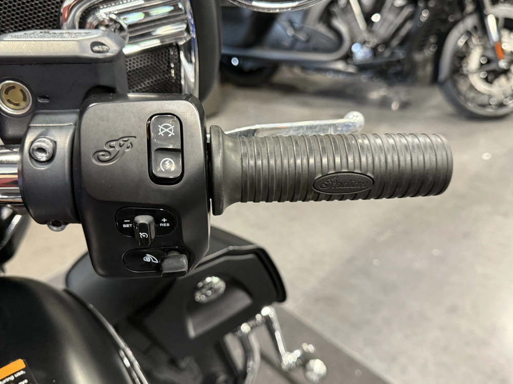 2020 Indian Motorcycle Rm Dark Horse, Thunder Black Smoke, 49st alt
