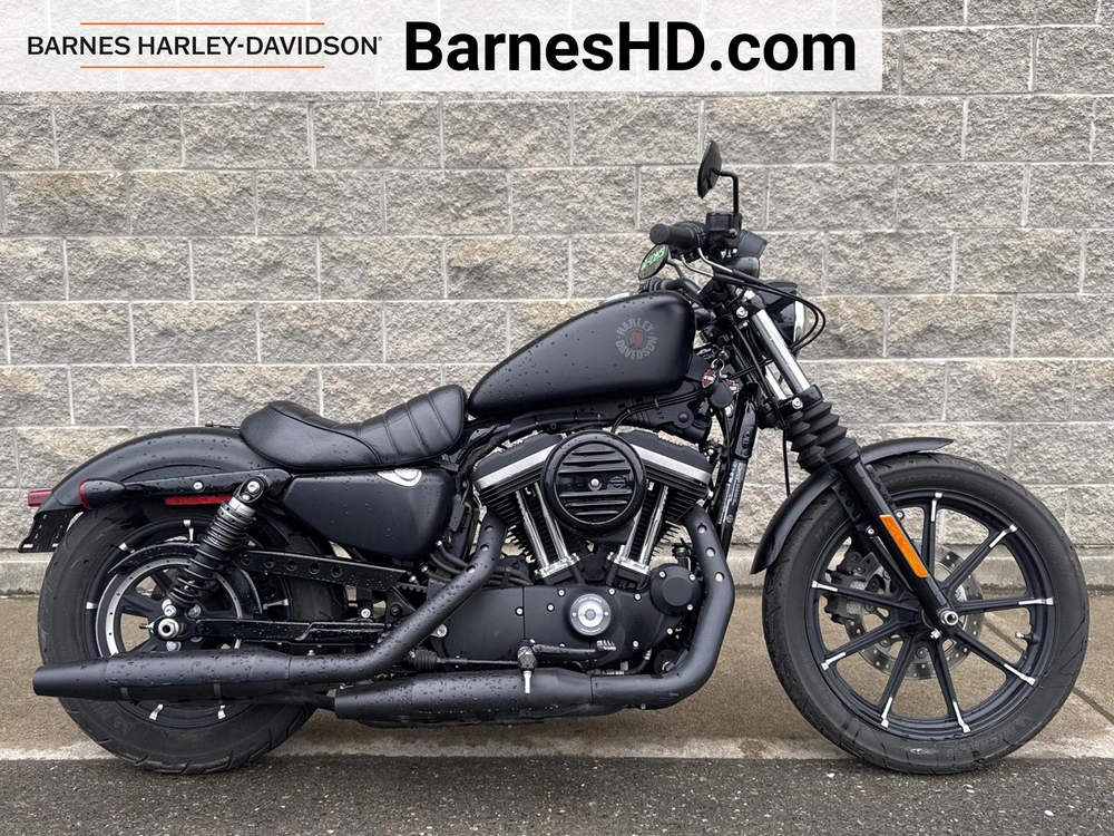 2021 Harley-davidson Xl883n - Iron 883 alt