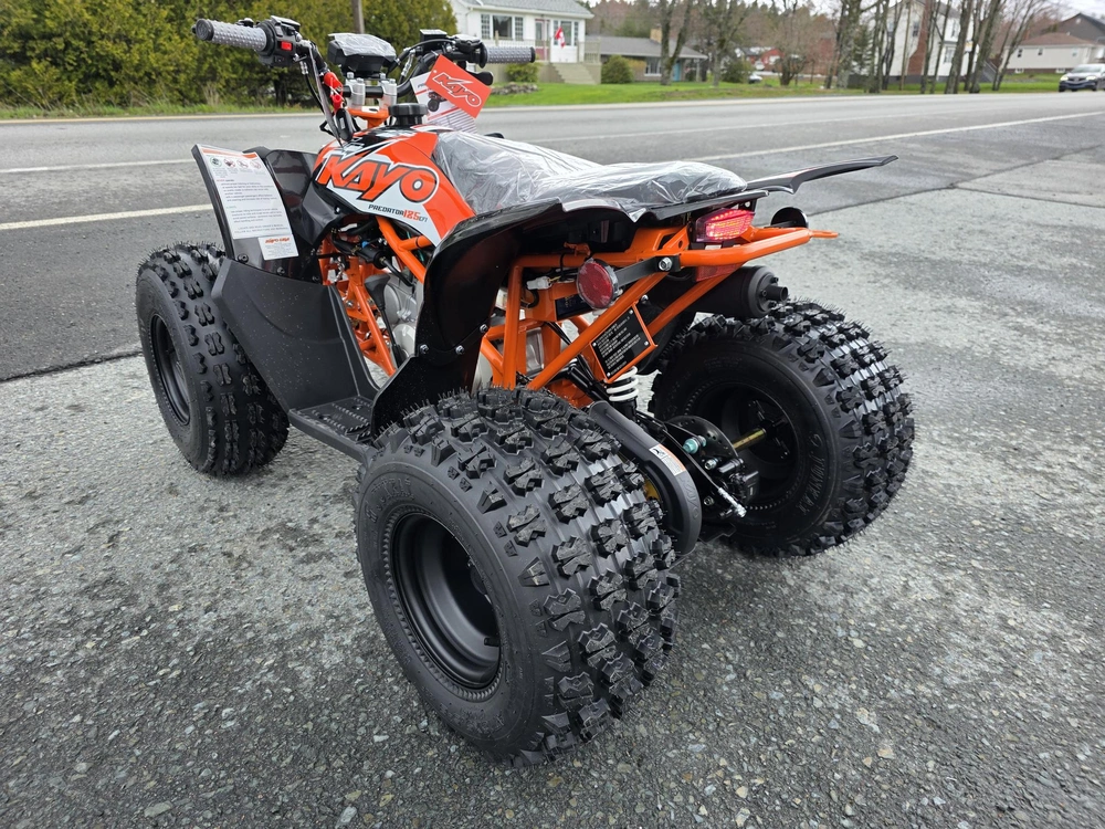 2026 Kayo Predator 125 Efi alt