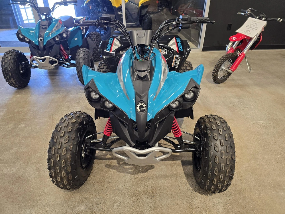2026 Brp Renegade 110 Efi (can) alt