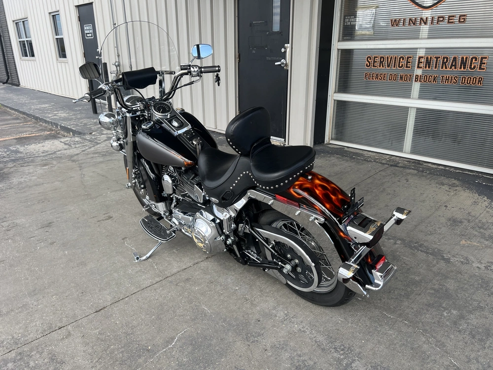 2006 Harley-davidson Flstc-heritage Softail Classic alt