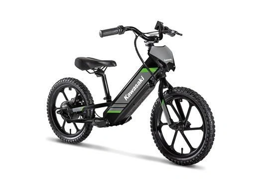 2025 Kawasaki Elektrode 20 alt