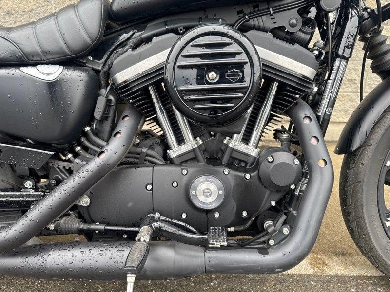 2021 Harley-davidson Xl883n - Iron 883 alt