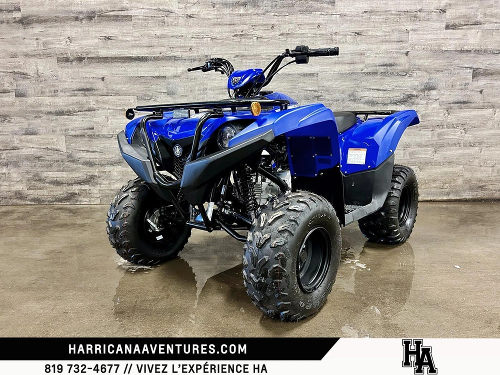 Yamaha Grizzly 110 2025 alt