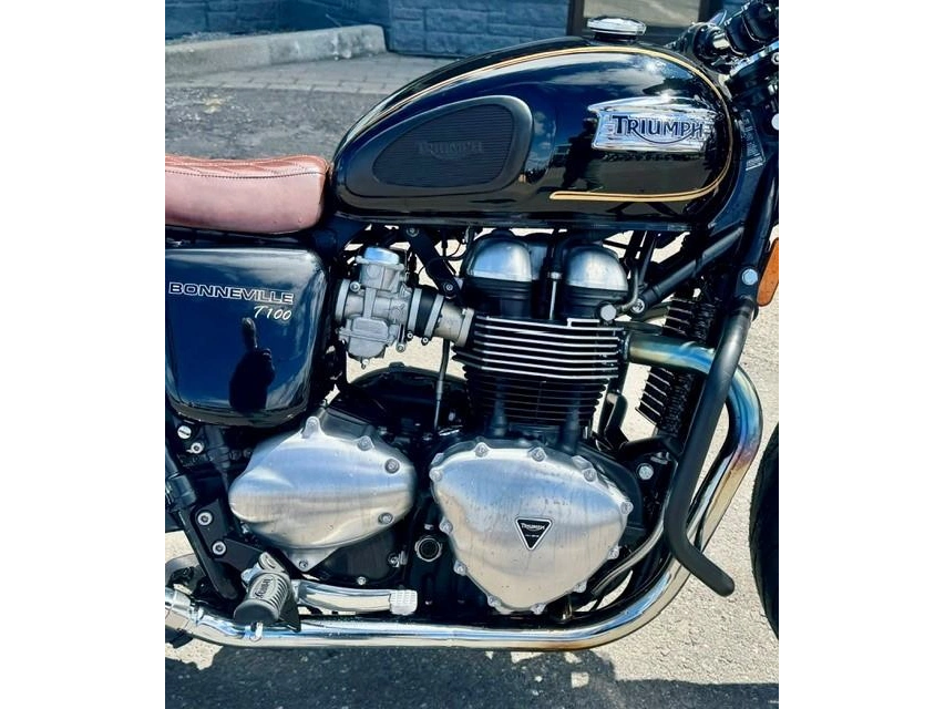 Triumph 865 Bonneville T100 2014 alt