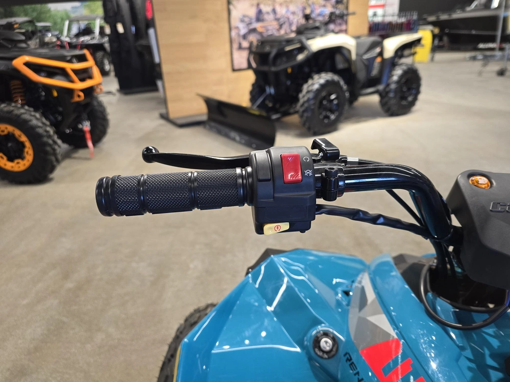 2026 Brp Renegade 110 Efi (can) alt