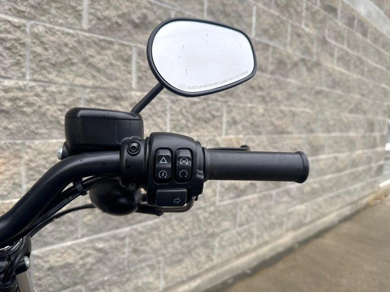 2021 Harley-davidson Xl883n - Iron 883 alt