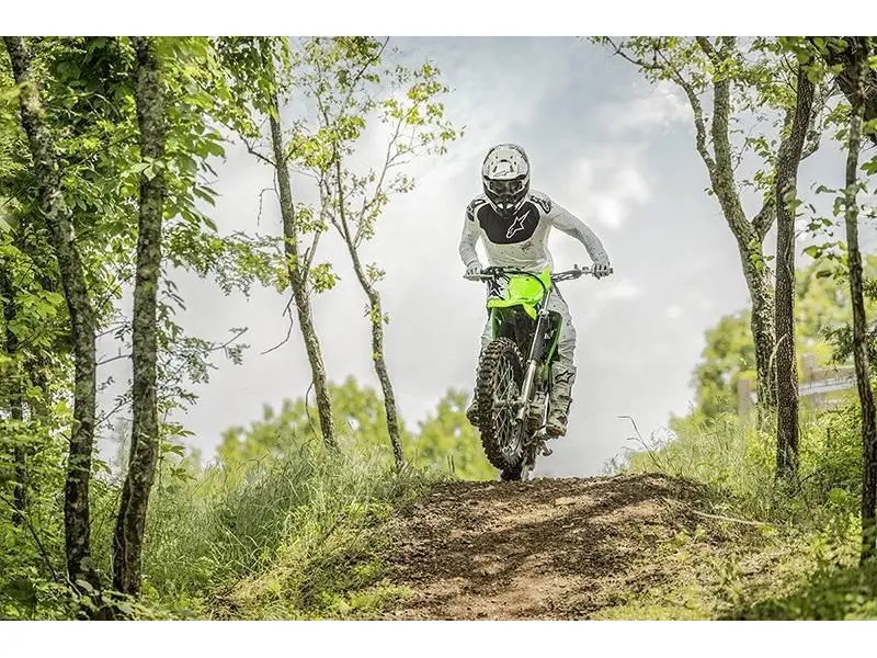 2025 Kawasaki KLX® 230R S thumbnail 13