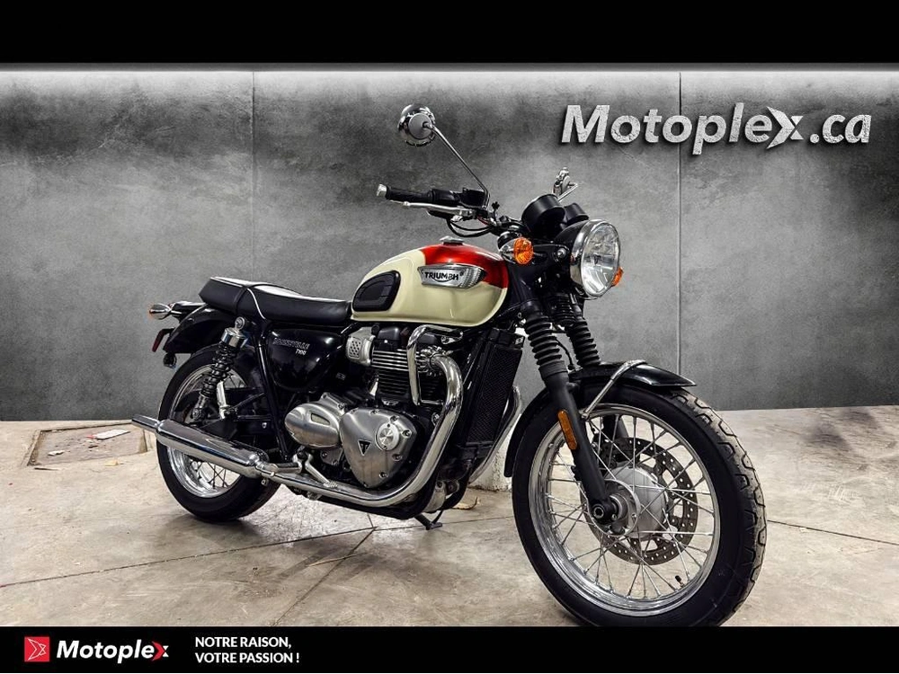 Triumph Bonneville T100 2018 alt