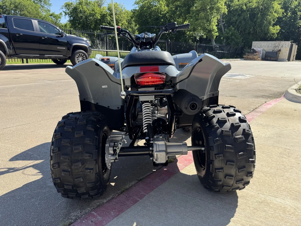 2026 Polaris Phoenix 200 - Storm Gray alt