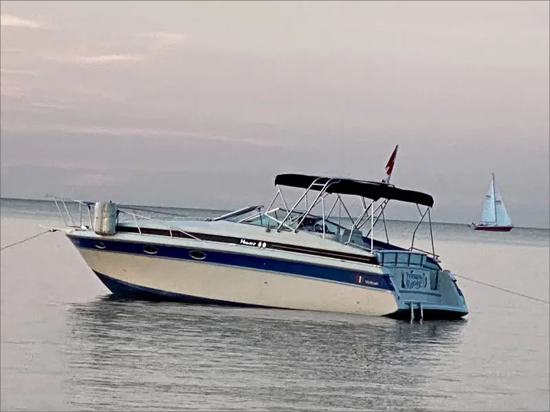 1989 Wellcraft Monaco 3000 thumbnail 2