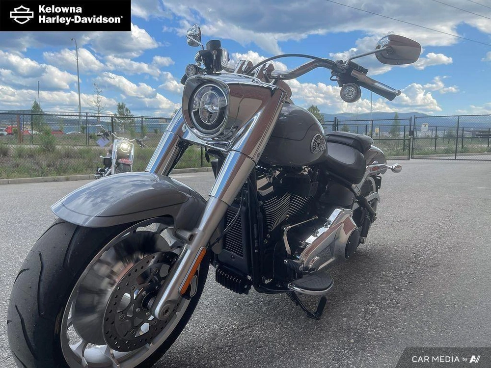 2025 Harley-davidson Flfb - Fat Boy™ alt