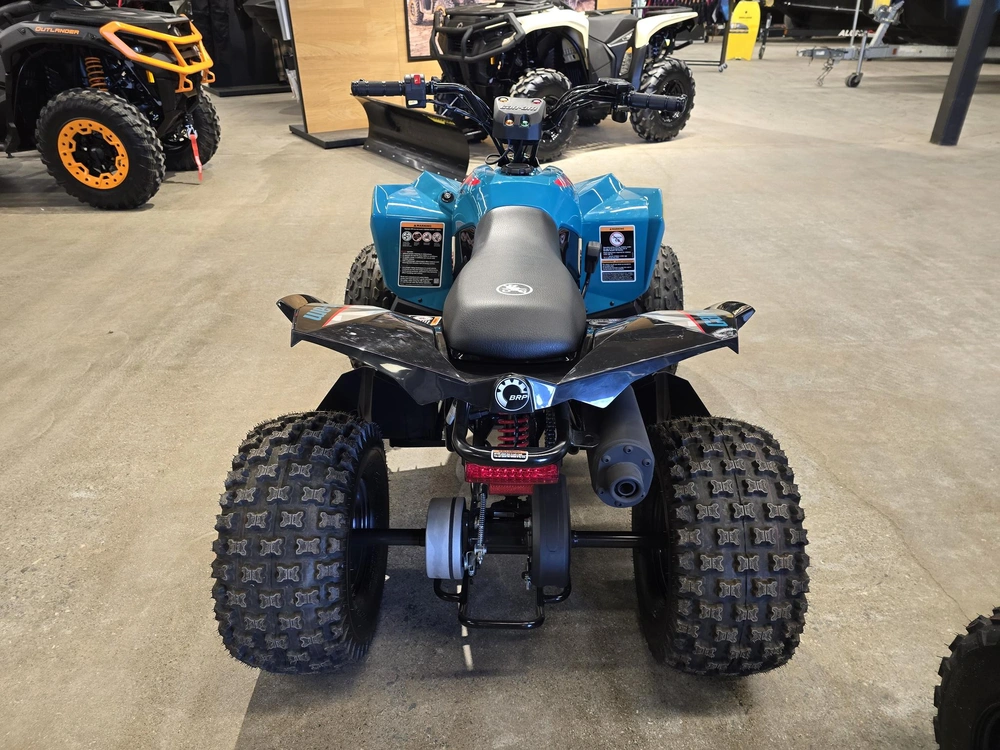 2026 Brp Renegade 110 Efi (can) alt