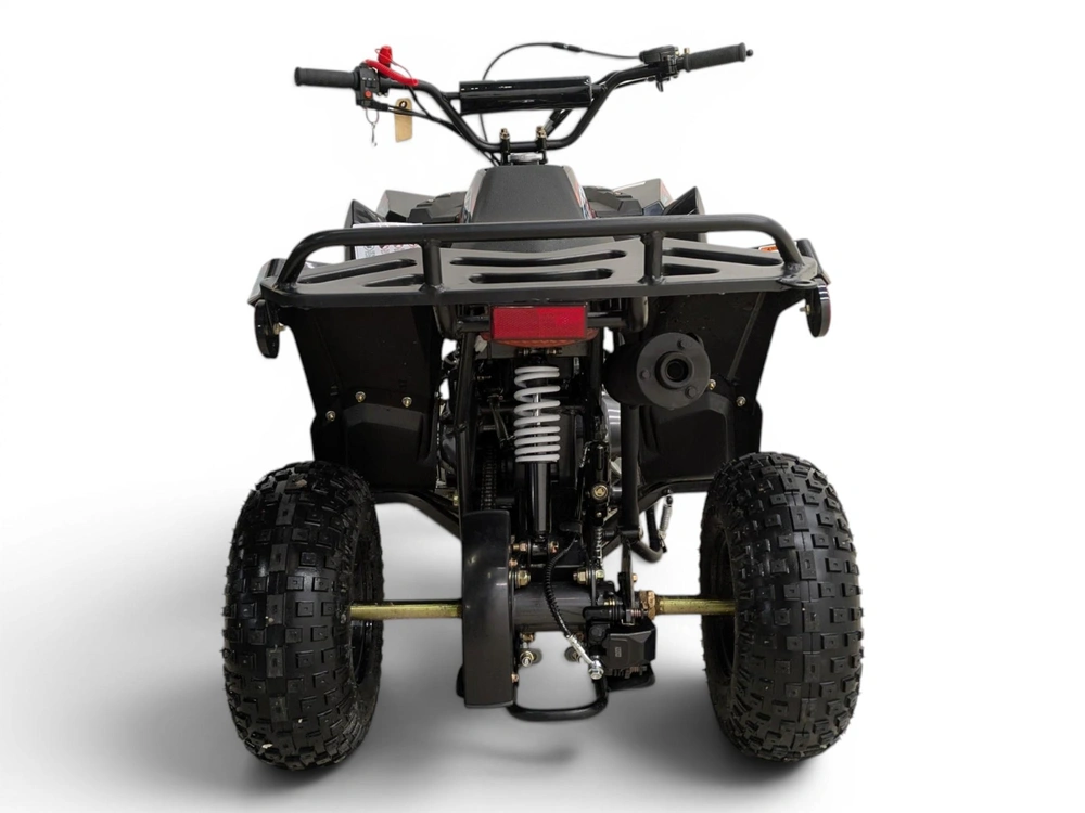 2025 Apollo Motors Vrx 110-f alt