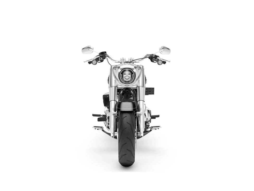 2026 Harley-davidson Flfb Fat Boy alt