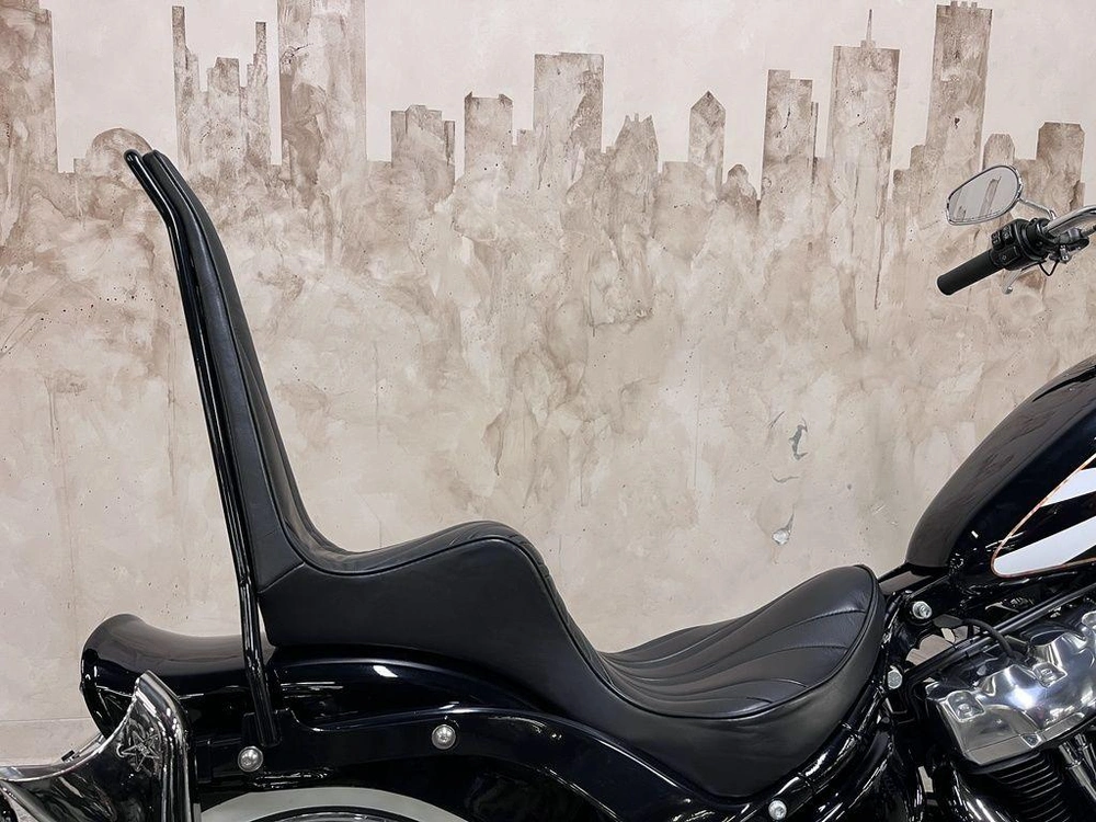 2024 Harley-davidson Fxst Softail Standard alt
