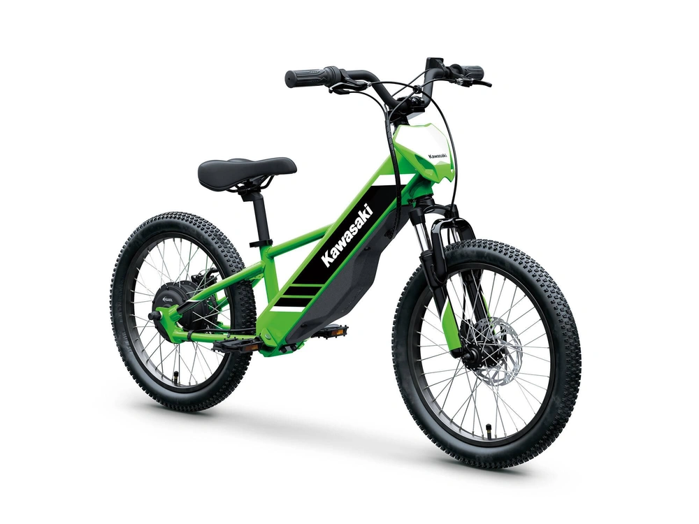 2025 Kawasaki Elektrode 20 alt