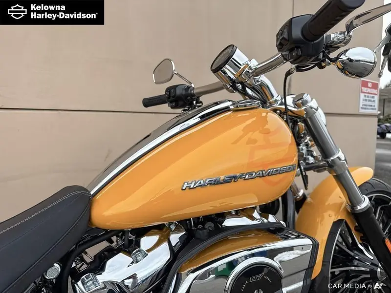 2025 Harley-Davidson FXBR - Breakout™ thumbnail 9