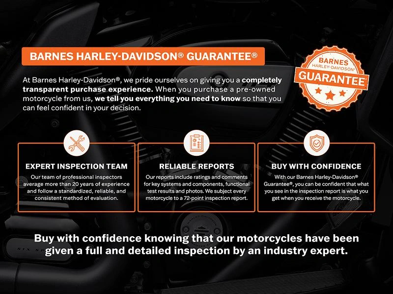 2024 Triumph Trident 660 alt