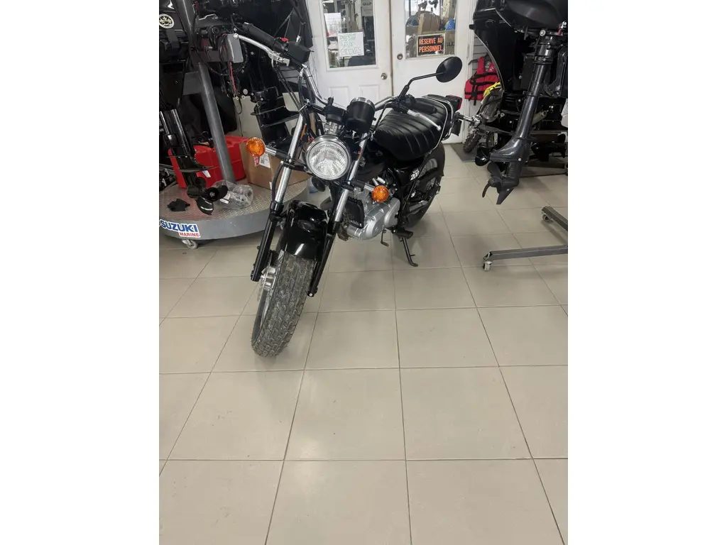 Suzuki RV200 2017