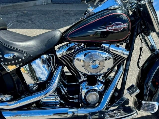 Harley-davidson Softail Heritage Classic Flstc 2005 alt