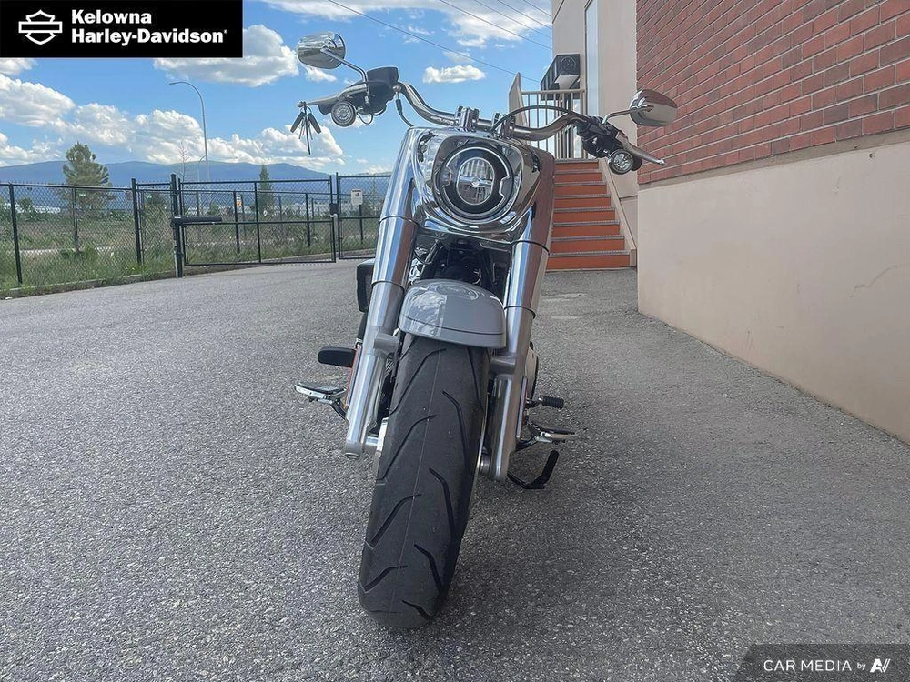 2025 Harley-davidson Flfb - Fat Boy™ alt
