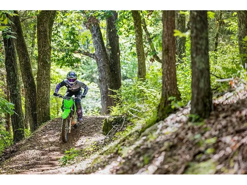 2025 Kawasaki KLX® 230R S thumbnail 3