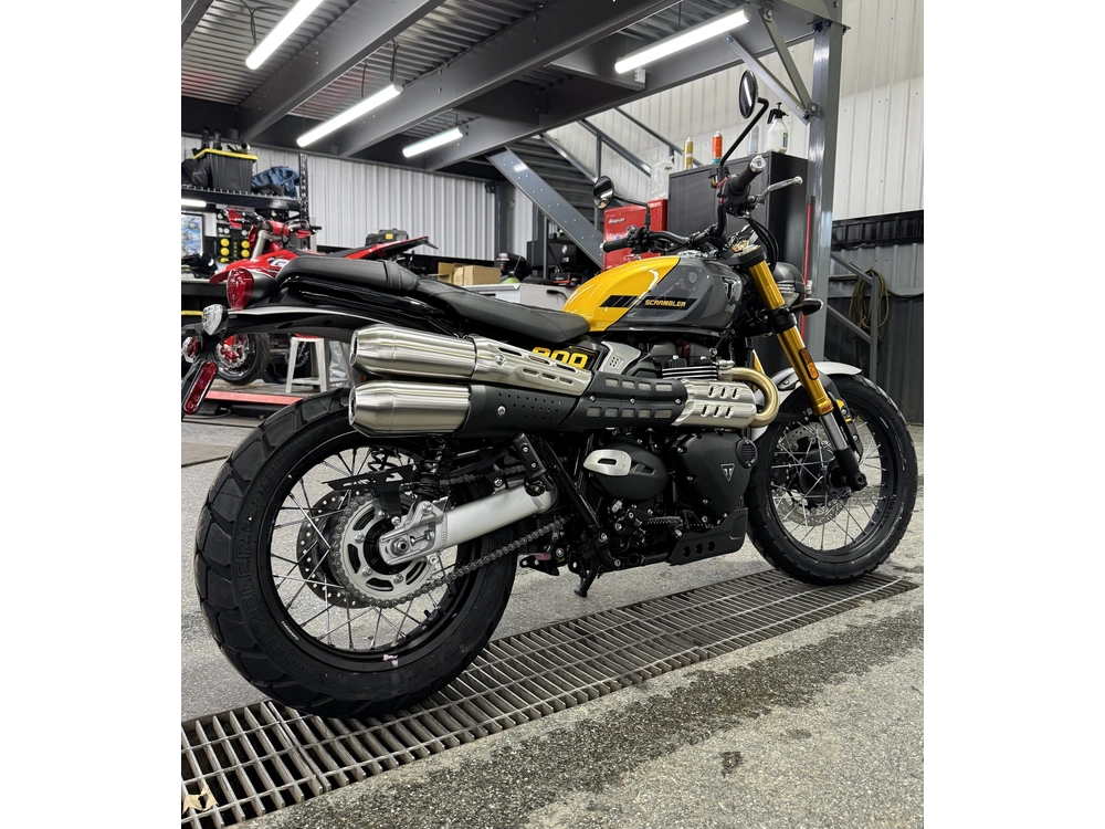 Triumph Scrambler 900 2026 alt
