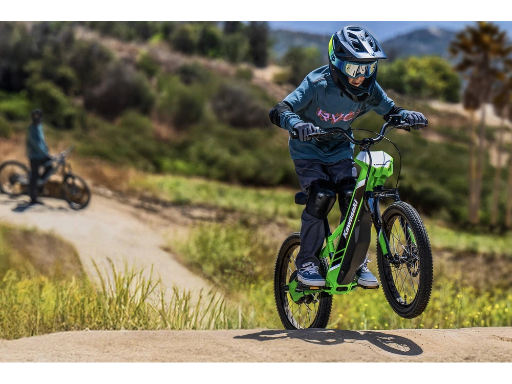 2025 Kawasaki Elektrode 20 alt