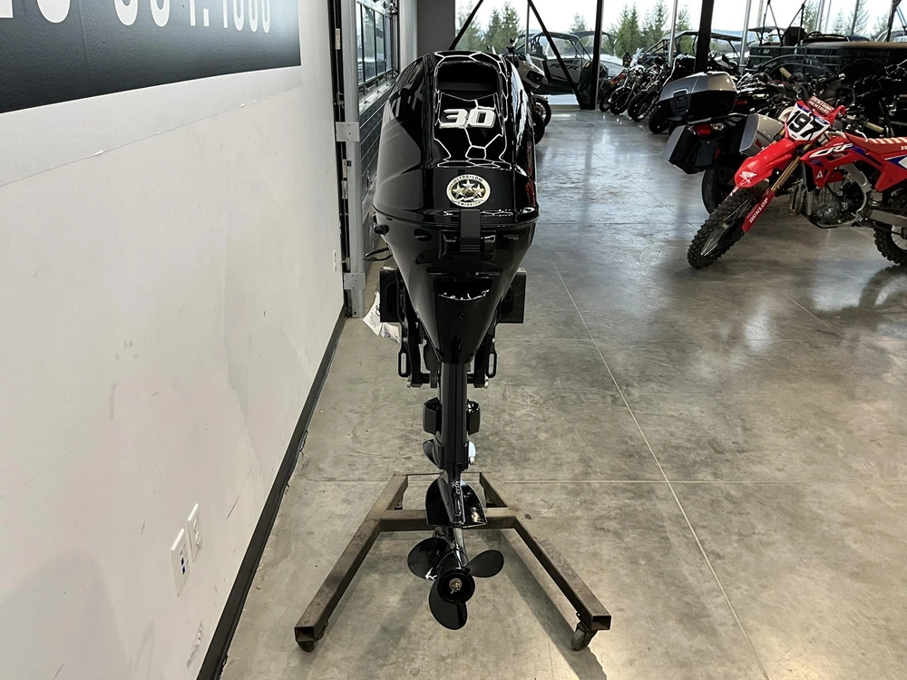 Suzuki Df30atl 2026 alt