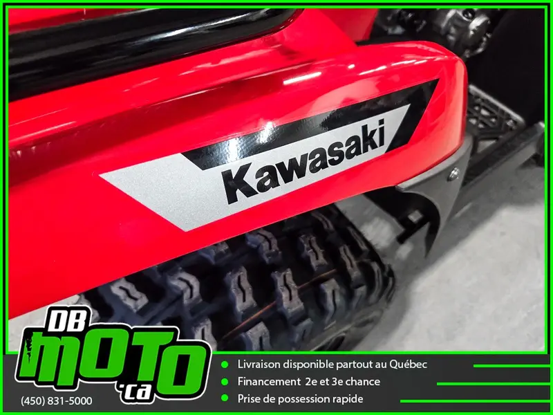 2026 Kawasaki BRUTE FORCE 300 thumbnail 9