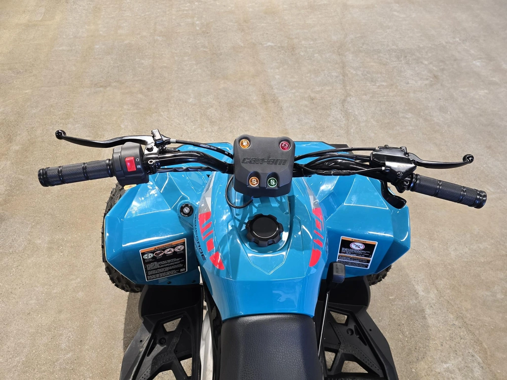 2026 Brp Renegade 110 Efi (can) alt