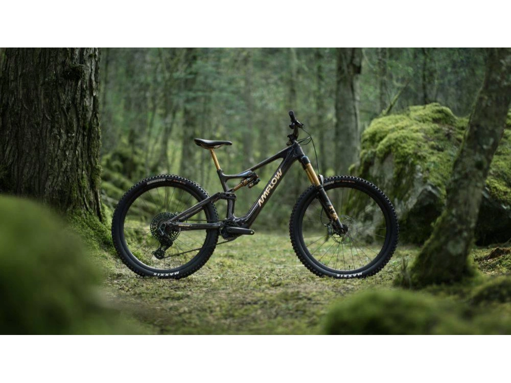 2025 Other Amflow Pl Carbon Pro (800wh) alt