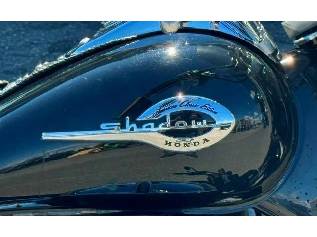 Honda Vt 750 Shadow 2003 alt