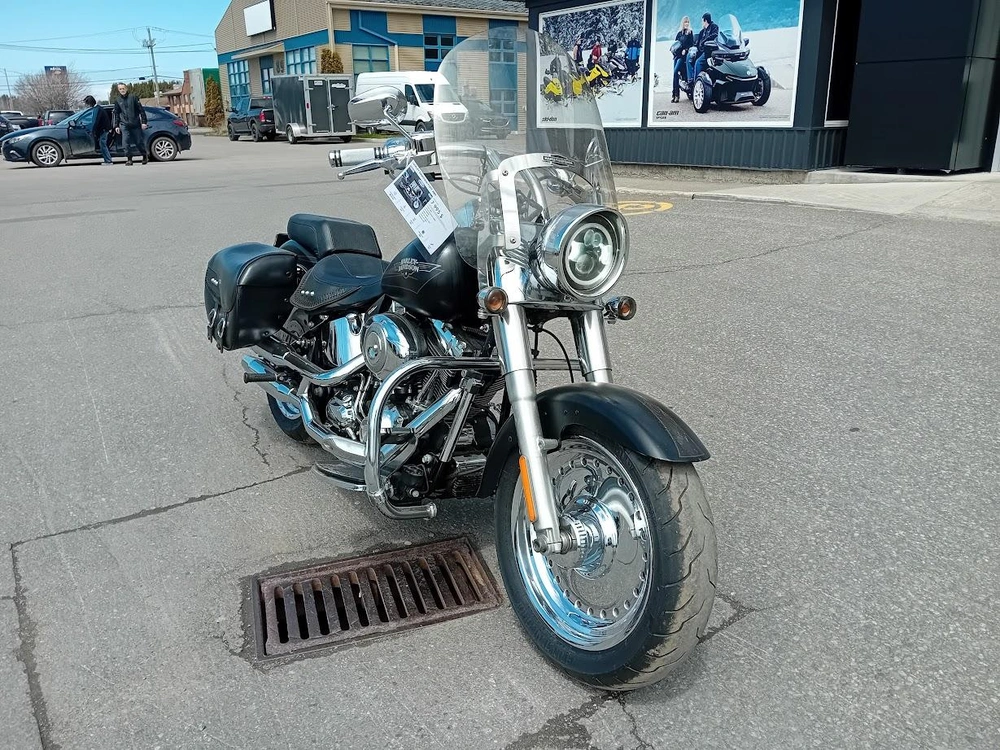 Harley-davidson Flstf 2009 alt