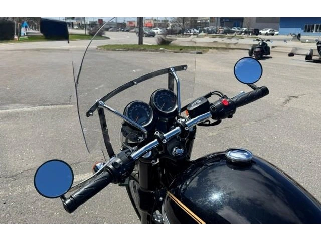 Triumph 865 Bonneville T100 2014 alt