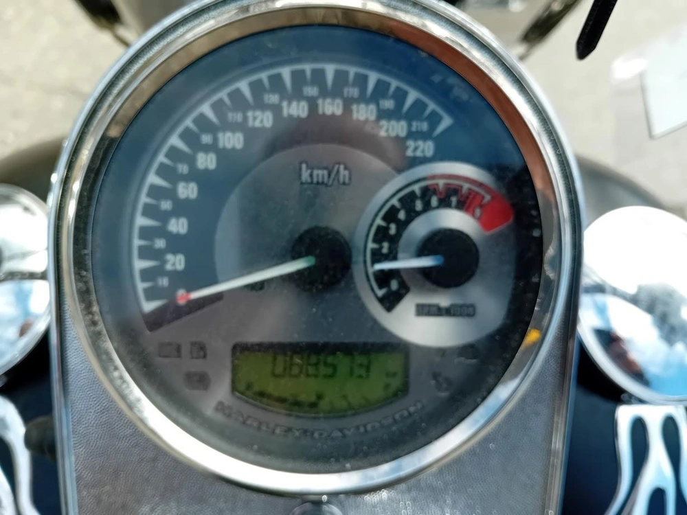 Harley-davidson Flstf 2009 alt