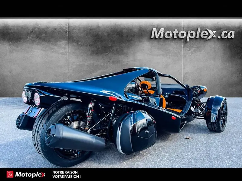 2026 Campagna T-Rex