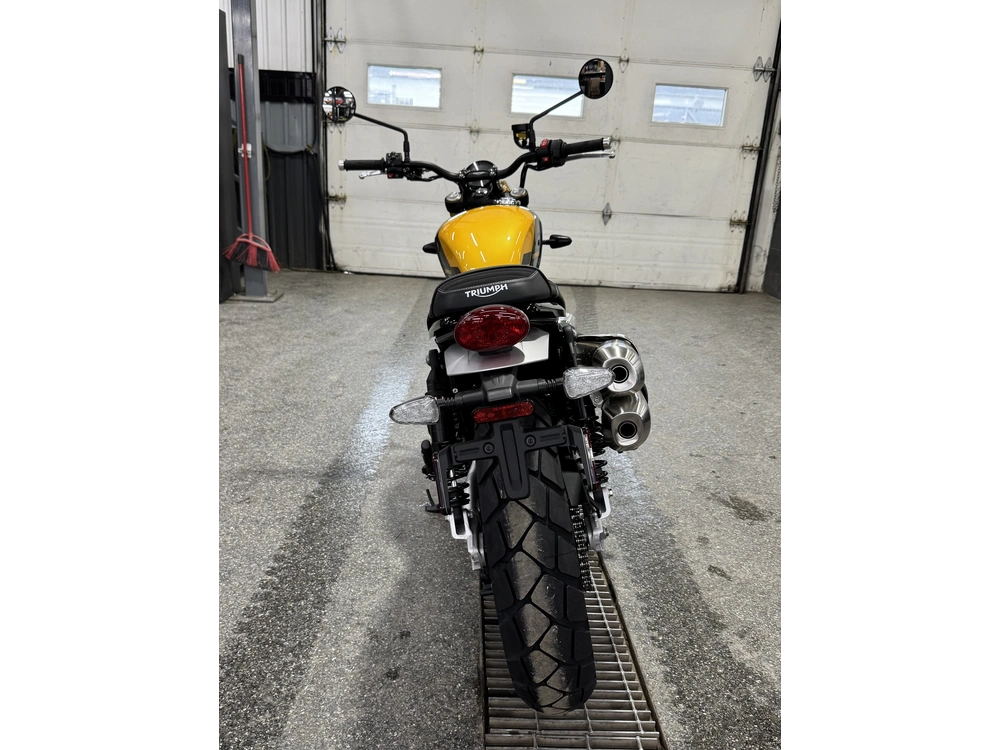 Triumph Scrambler 900 2026 alt