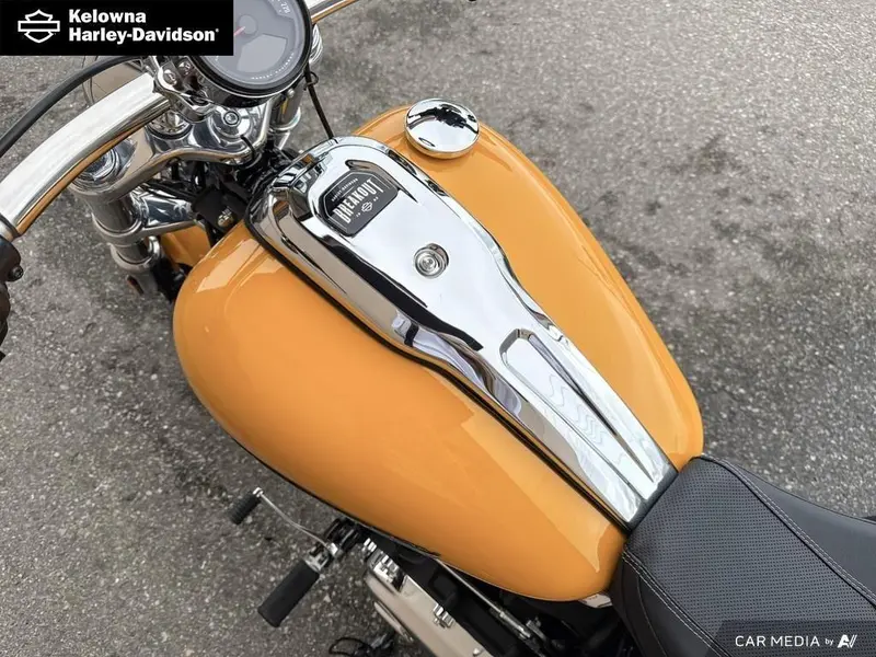 2025 Harley-Davidson FXBR - Breakout™ thumbnail 21