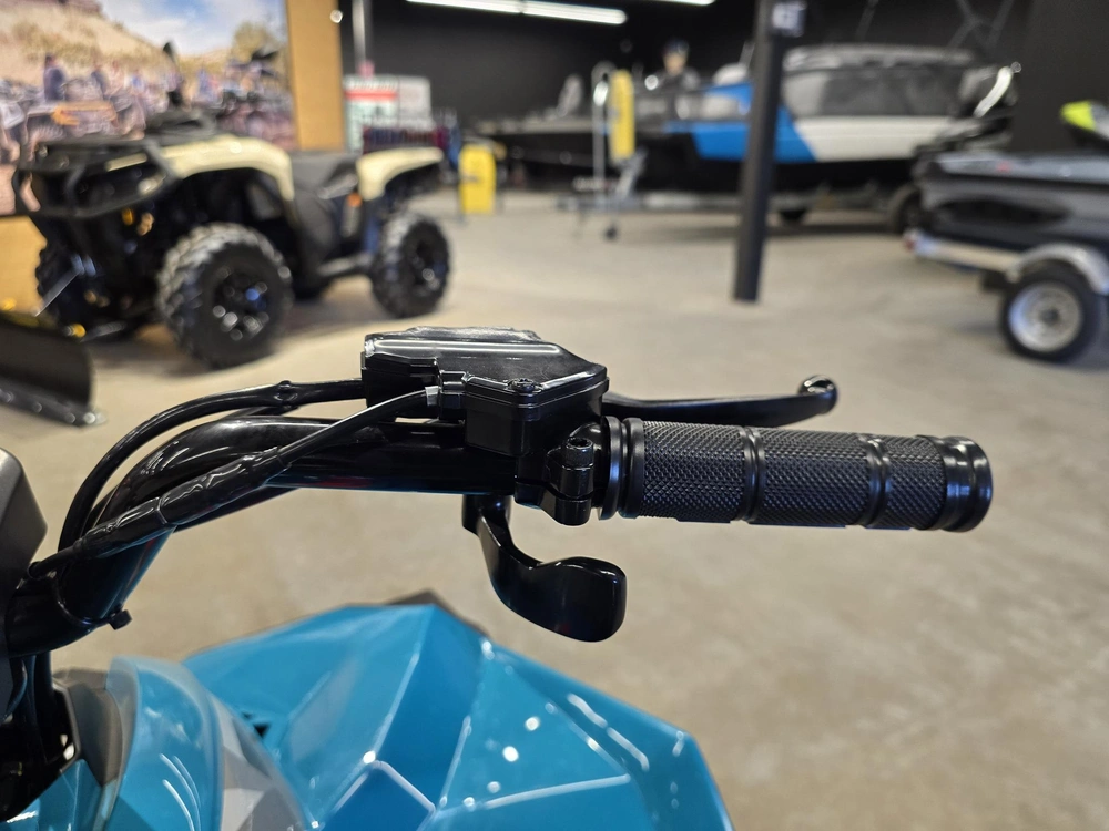 2026 Brp Renegade 110 Efi (can) alt