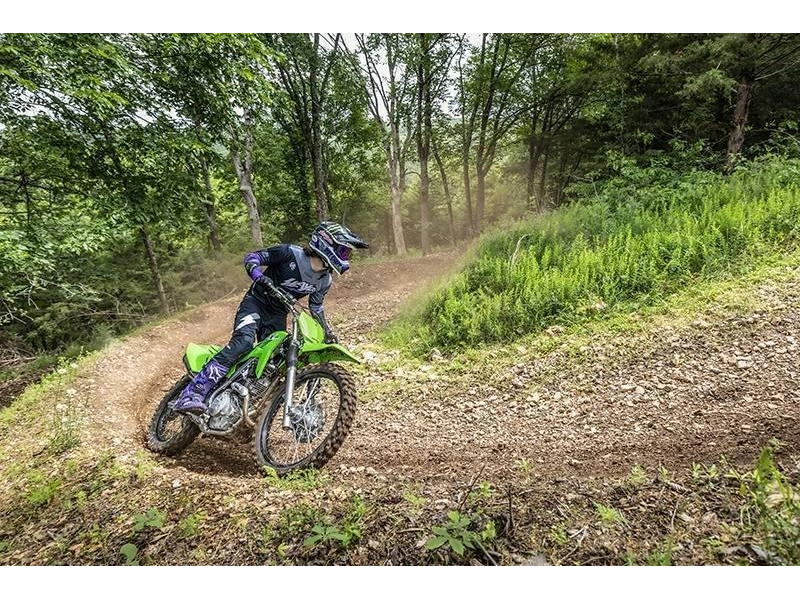 2025 Kawasaki Klx® 230r S alt