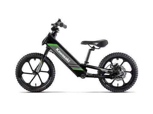 2025 Kawasaki Elektrode 20 alt
