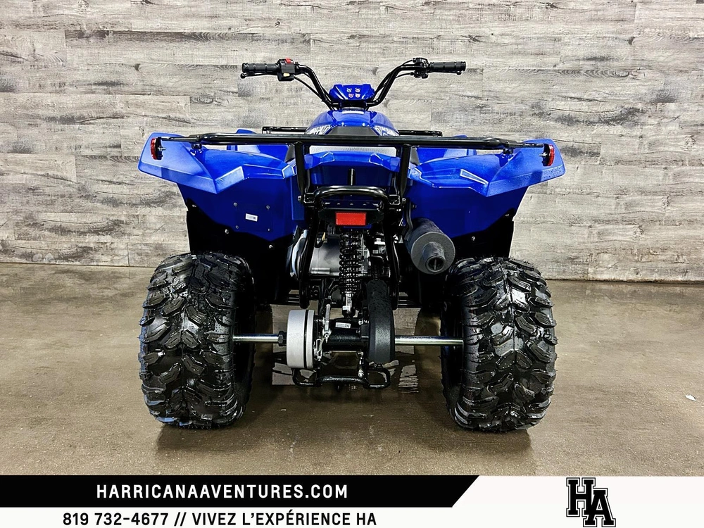 Yamaha Grizzly 110 2025 alt